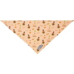 Frisco Quirky Thanksgiving Personalized Dog & Cat Bandana -Pet Cat Store 296986 PT3. AC SS1800 V1627654956