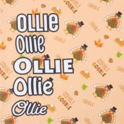 Frisco Quirky Thanksgiving Personalized Dog & Cat Bandana -Pet Cat Store 296986 PT4. AC SS1800 V1627655269