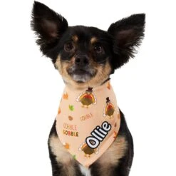 Frisco Quirky Thanksgiving Personalized Dog & Cat Bandana -Pet Cat Store 296986 PT6. AC SS1800 V1627654020