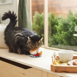 Frisco Brunch Teacup Plush Cat Toy With Catnip -Pet Cat Store 297292 PT2. AC SS1800 V1642088843