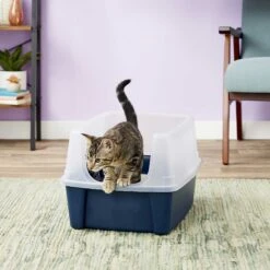 Frisco Plastic Litter Scooper With Caddy & IRIS USA Open Top Litter Box With Scatter Shield -Pet Cat Store 298166 PT6. AC SS1800 V1623202669