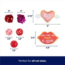 Frisco Valentine Variety Pack Cat Toy With Catnip, 13 Count 9 Frisco Valentine Variety Pack Cat Toy With Catnip, 13 Count -Pet Cat Store 298966 PT2. AC SS1800 V1701364858