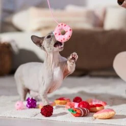 Frisco Valentine Variety Pack Cat Toy With Catnip, 13 Count 10 Frisco Valentine Variety Pack Cat Toy With Catnip, 13 Count -Pet Cat Store 298966 PT3. AC SS1800 V1701364858