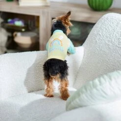 Frisco Hipster Hopster Dog & Cat T-Shirt 13 Frisco Hipster Hopster Dog & Cat T-Shirt -Pet Cat Store 300638 PT5. AC SS1800 V1641540418