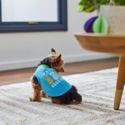 Frisco I'm A Little Eggs-tra Dog & Cat T-Shirt 13 Frisco I'm A Little Eggs-tra Dog & Cat T-Shirt -Pet Cat Store 300646 PT5. AC SS1800 V1641542509