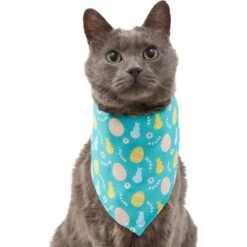 Frisco Spring Easter Egg Dog & Cat Bandana -Pet Cat Store 300663 PT2. AC SS1800 V1641537094