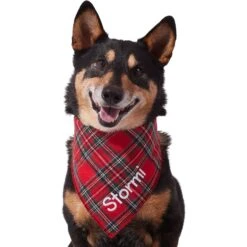 Frisco Tartan Plaid Embroidered Personalized Dog & Cat Bandana -Pet Cat Store 301157 PT6. AC SS1800 V1628536009