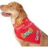 Frisco Official Cookie Tester Personalized Dog & Cat Bandana 2 Frisco Official Cookie Tester Personalized Dog & Cat Bandana -Pet Cat Store 301353 MAIN. AC SS1800 V1632923476