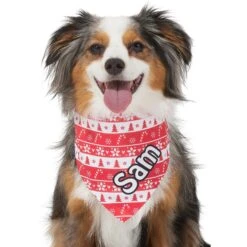 Frisco Fair Isle Personalized Dog & Cat Bandana -Pet Cat Store 301357 PT6. AC SS1800 V1628100112