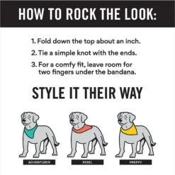 Frisco Gingerbread Cookie Personalized Dog & Cat Bandana 12 Frisco Gingerbread Cookie Personalized Dog & Cat Bandana -Pet Cat Store 301361 PT2. AC SS1800 V1623274646