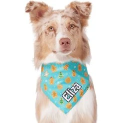 Frisco Gingerbread Cookie Personalized Dog & Cat Bandana 16 Frisco Gingerbread Cookie Personalized Dog & Cat Bandana -Pet Cat Store 301361 PT6. AC SS1800 V1628100109