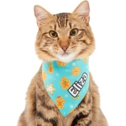 Frisco Gingerbread Cookie Personalized Dog & Cat Bandana 17 Frisco Gingerbread Cookie Personalized Dog & Cat Bandana -Pet Cat Store 301361 PT7. AC SS1800 V1628100087