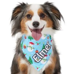 Frisco Snowman & Presents Personalized Dog & Cat Bandana 16 Frisco Snowman & Presents Personalized Dog & Cat Bandana -Pet Cat Store 301373 PT6. AC SS1800 V1628100374