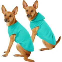 Frisco Basic Dog & Cat T-Shirt & Frisco Dog & Cat Basic Hoodie -Pet Cat Store 302680 PT2. AC SS1800 V1633075294
