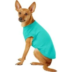 Frisco Basic Dog & Cat T-Shirt & Frisco Dog & Cat Basic Hoodie -Pet Cat Store 302680 PT3. AC SS1800 V1633065105