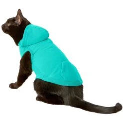 Frisco Basic Dog & Cat T-Shirt & Frisco Dog & Cat Basic Hoodie -Pet Cat Store 302680 PT4. AC SS1800 V1633076172