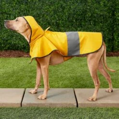 Frisco Lightweight Rainy Days Dog Raincoat & Frisco Lightweight Rubber Ducky Dog Raincoat -Pet Cat Store 302842 PT4. AC SS1800 V1623052647