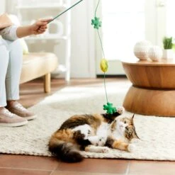 Frisco St. Patrick's Shamrock Teaser Wand Cat Toy With Catnip 8 Frisco St. Patrick's Shamrock Teaser Wand Cat Toy With Catnip -Pet Cat Store 303108 PT3. AC SS1800 V1641230422