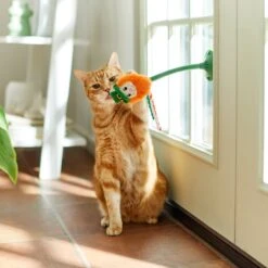 Frisco St. Patrick's Leprechaun Suction Cup Teaser Cat Toy With Catnip 9 Frisco St. Patrick's Leprechaun Suction Cup Teaser Cat Toy With Catnip -Pet Cat Store 303110 PT3. AC SS1800 V1641230446