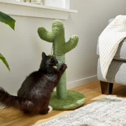 Frisco Cactus Cat Scratching Post & Frisco Dangly Avocado Buddy Plush Cat Toy With Catnip -Pet Cat Store 303380 PT3. AC SS1800 V1623081149