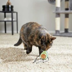 Frisco Cactus Cat Scratching Post & Frisco Dangly Avocado Buddy Plush Cat Toy With Catnip -Pet Cat Store 303380 PT6. AC SS1800 V1623085642