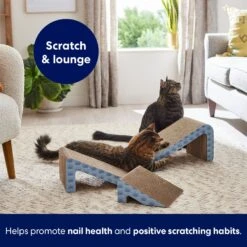 Frisco Nesting Cat Scratcher Toy With Catnip -Pet Cat Store 308876 PT5. AC SS1800 V1691785301
