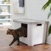 Frisco Multi-Function Covered Cat Litter Box, Jumbo -Pet Cat Store 309855 MAIN. AC SS1800 V1631817414
