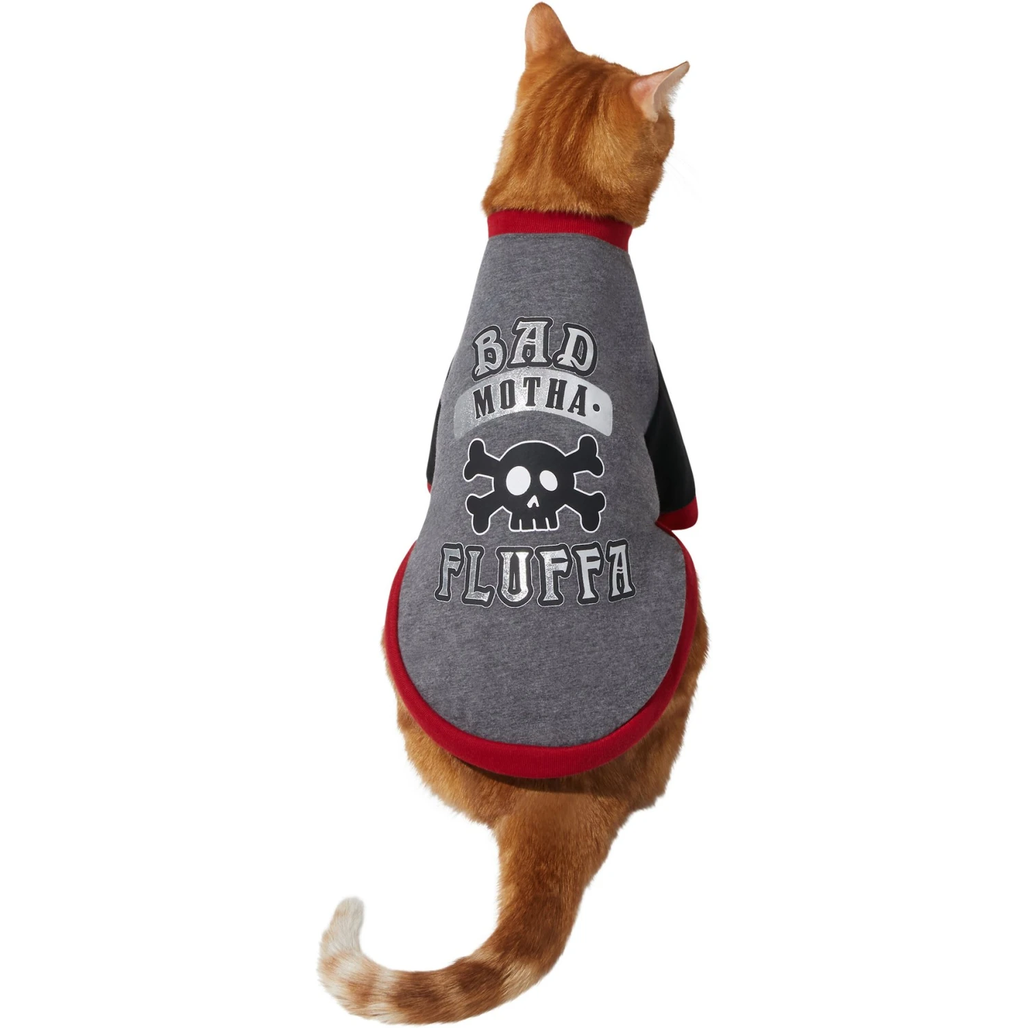 Frisco Bad Motha Fluffa Dog & Cat T-Shirt 5 Frisco Bad Motha Fluffa Dog & Cat T-Shirt - Image 3