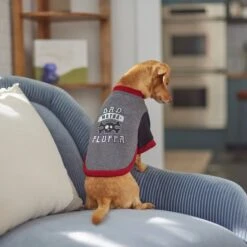 Frisco Bad Motha Fluffa Dog & Cat T-Shirt 13 Frisco Bad Motha Fluffa Dog & Cat T-Shirt -Pet Cat Store 312048 PT8. AC SS1800 V1644446866