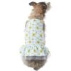 Frisco Sunflower Gingham Dog & Cat Dress 2 Frisco Sunflower Gingham Dog & Cat Dress -Pet Cat Store 312120 MAIN. AC SS1800 V1644423431