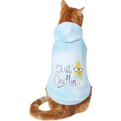 Frisco Just Chillin Dog & Cat Hoodie 11 Frisco Just Chillin Dog & Cat Hoodie -Pet Cat Store 312233 PT2. AC SS1800 V1644879530