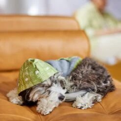 Frisco Green Southwest Dog & Cat Hoodie -Pet Cat Store 312248 PT8. AC SS1800 V1644883113