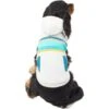Frisco Striped Dog & Cat Hoodie -Pet Cat Store 312265 MAIN. AC SS1800 V1644880439