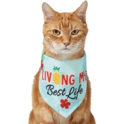 Frisco Living My Best Life Dog & Cat Bandana -Pet Cat Store 312288 PT2. AC SS1800 V1644884916