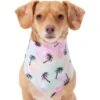 Frisco Palm Tree Dog & Cat Bandana -Pet Cat Store 312291 MAIN. AC SS1800 V1644885149