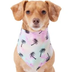 Frisco Palm Tree Dog & Cat Bandana