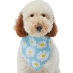 Frisco Daisy Dog & Cat Bandana -Pet Cat Store 312303 PT3. AC SS1800 V1673302704