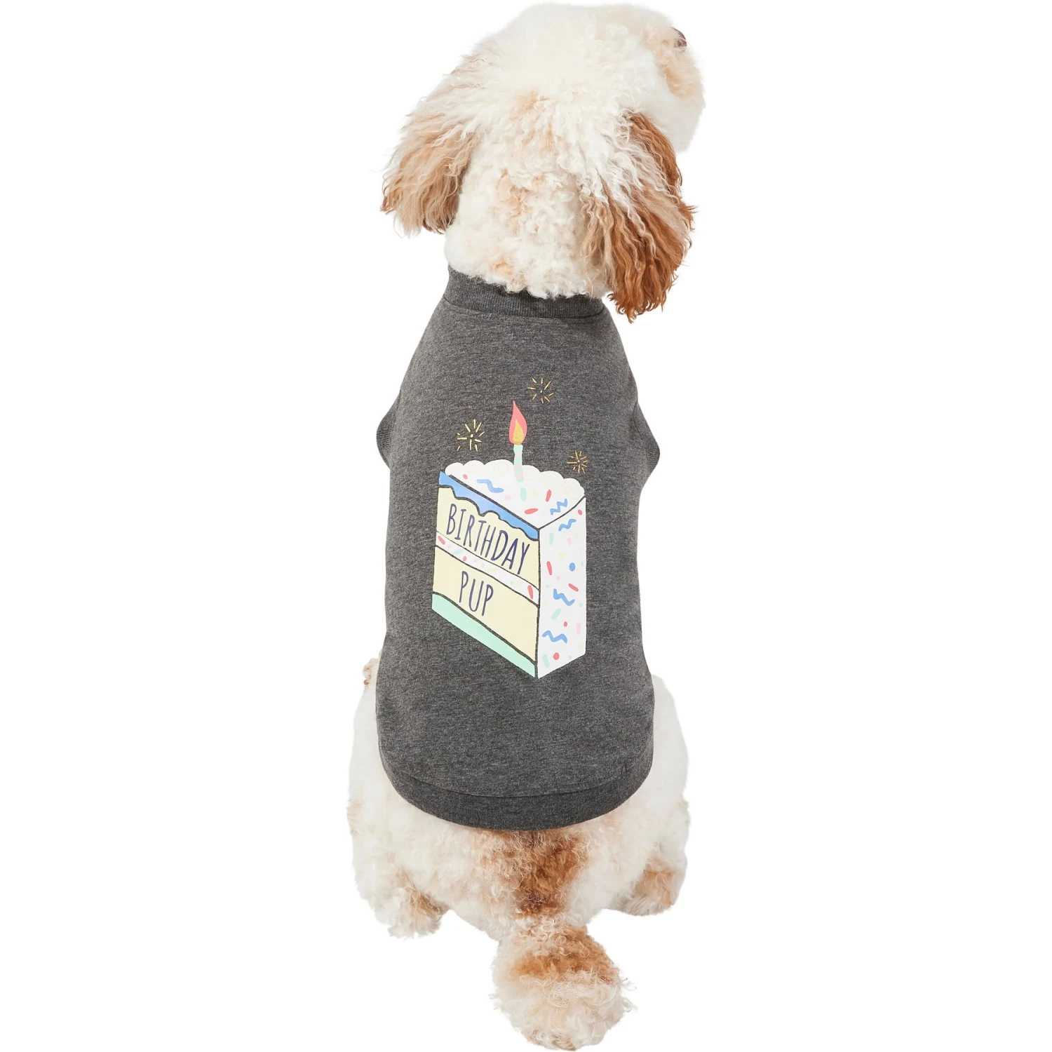 Frisco Birthday Pup Dog & Cat T-Shirt 3 Frisco Birthday Pup Dog & Cat T-Shirt