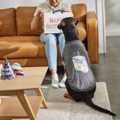 Frisco Birthday Pup Dog & Cat T-Shirt 13 Frisco Birthday Pup Dog & Cat T-Shirt -Pet Cat Store 315076 PT8. AC SS1800 V1646438210