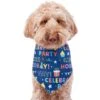 Frisco Celebration Dog & Cat Bandana -Pet Cat Store 315133 MAIN. AC SS1800 V1646438946