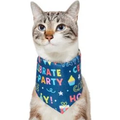 Frisco Celebration Dog & Cat Bandana -Pet Cat Store 315133 PT2. AC SS1800 V1646439780