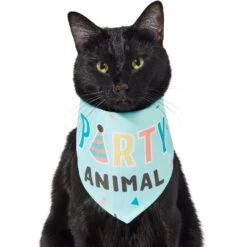 Frisco Party Animal Dog & Cat Bandana 11 Frisco Party Animal Dog & Cat Bandana -Pet Cat Store 315136 PT2. AC SS1800 V1646438016