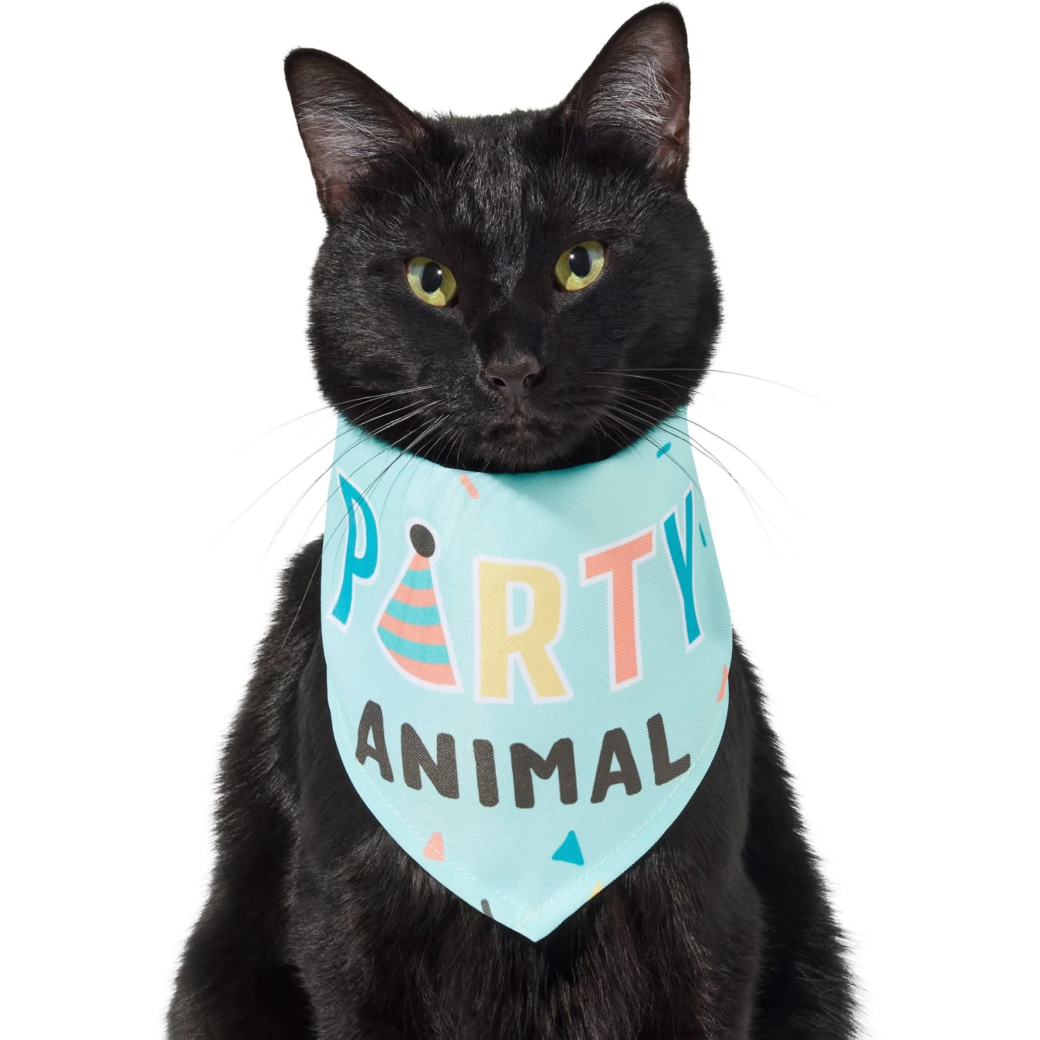 Frisco Party Animal Dog & Cat Bandana 5 Frisco Party Animal Dog & Cat Bandana - Image 3