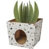 Frisco Potted Succulent Cardboard Cat House -Pet Cat Store 317723 MAIN. AC SS1800 V1688677259