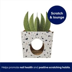 Frisco Potted Succulent Cardboard Cat House -Pet Cat Store 317723 PT2. AC SS1800 V1689342085