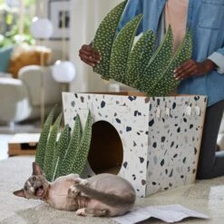 Frisco Potted Succulent Cardboard Cat House -Pet Cat Store 317723 PT3. AC SS1800 V1688677248