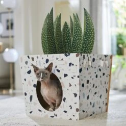 Frisco Potted Succulent Cardboard Cat House -Pet Cat Store 317723 PT4. AC SS1800 V1688677260