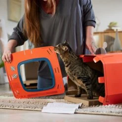 Frisco TV Set Cardboard Cat House 11 Frisco TV Set Cardboard Cat House -Pet Cat Store 317731 PT3. AC SS1800 V1688677262