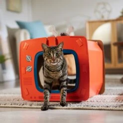 Frisco TV Set Cardboard Cat House 12 Frisco TV Set Cardboard Cat House -Pet Cat Store 317731 PT4. AC SS1800 V1688677247