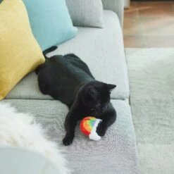 Frisco Pride Rainbow Plush Cat Toy With Silvervine -Pet Cat Store 331690 PT3. AC SS1800 V1647355685